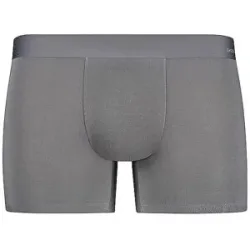 SKINY Pants SMARTOUCH grey grau   L herren
