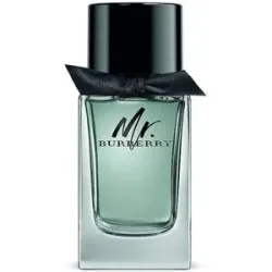 BURBERRY Mr. Burberry Eau de Toilette 100ml Herren