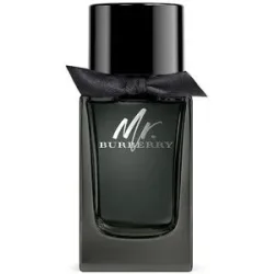 BURBERRY Mr. Burberry Eau de Parfum 100ml Herren