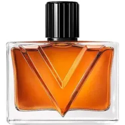 VALENTINO Vendetta Uomo Eau de Parfum 90ml Herren