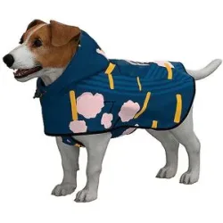 RAINKISS Hunde Regenponcho blau   M Damen