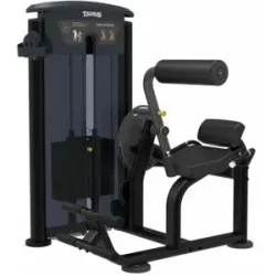 Taurus Back Extension IT95