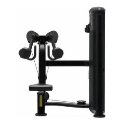 Taurus Lateral Raise IT95