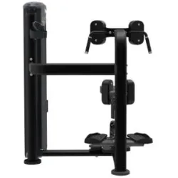 Taurus Torso Rotation IT95