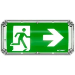 HOFTRONIC Robus - LED Notbeleuchtung mit Batterie - IK10 Bulkhead - IP66 wasserdicht - 4,2 Watt 300 Lumen - 3 Stunden Notstrombatterie - Inkl. Piktogramm zur Fluchtweganzeige