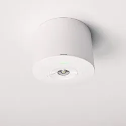 HOFTRONIC Locus - Aufbaustrahler Notbeleuchtung Spot weiß - 2 Watt 300 Lumen - 6000K tageslichtweiß - IP20 staubdicht - Mit Autotestfunktion
