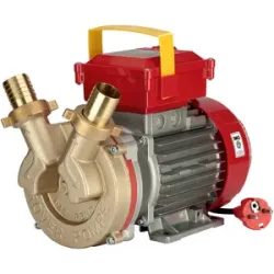 Rover Pompe Rover BE-M 30  Einphasen-Elektropumpe aus Bronze  230 V
