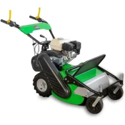 Lampacrescia - MGM Professioneller Schlegelmulcher Lampacrescia MGM TTR560 - Honda-Motor GX160