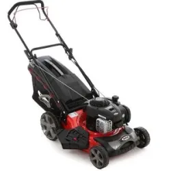 Rasenmäher Ama TRX 461B - B&S - Auffangen in Fangkorb, Mulching, Seiten- und Heckauswurf