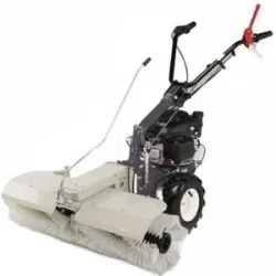 Benzin Kehrmaschine P55 Eurosystems - gekrönelter Lackierung
