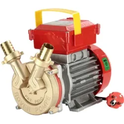 Rover Pompe Rover BE-M 25 - Elektrische Umfüllpumpe aus Bronze - 230 V