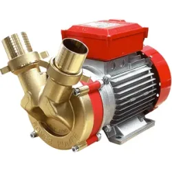 Rover Pompe Rover BE-T 50  Elektrische Bronze-Umfüllpumpe  Drehstrom  400 V