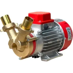 Rover Pompe Rover Marina 30  Elektrische Umfüllpumpe aus Bronze  12 V