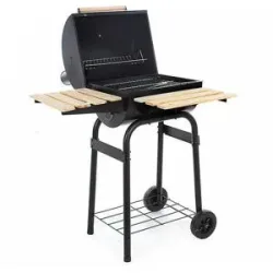 Royal Food CB 350 - Kohlegrill mit Grillrost aus Edelstahl - Kochfläche 37x34 cm