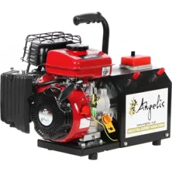 Agrieuro Premium Angelis - Tragbarer Stromerzeuger 12/22V