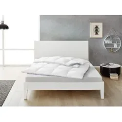 BALETTE Daunen-Kassettenbettdecke Premium Selection 100%, warm