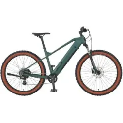 PROPHETE E-Bike Alu-MTB 650B 27,5 Zoll DICE 1.0