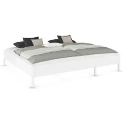 RAUCH ORANGE Mare Bett