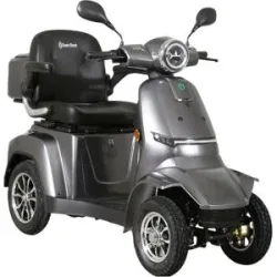 GREENSTREET Elektromobil E-Mover Deluxe 1000W 20 km/h inkl. Topcase