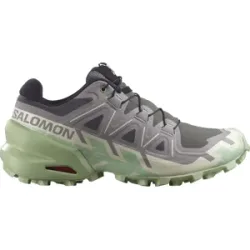 SALOMON SPEEDCROSS 6 Trailschuhe Damen Castlerock / Vanilla Ice / Smoke Green 42