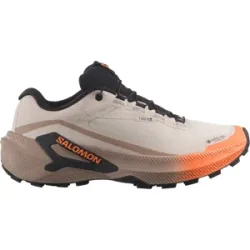 Salomon GENESIS 2 GTX Trailschuhe Damen Rainy Day/Desert Tan/Nectarine 40