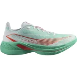 SALOMON SPECTUR 2 W Damen Grün 40