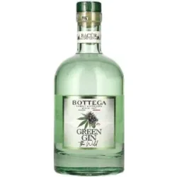 Bottega BACÛR The Wild Green Distilled Dry Gin 40% Vol. 0,7l