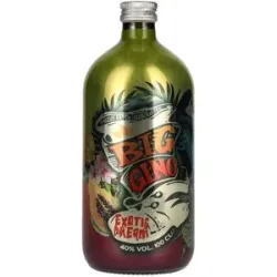 Big Gino Gin EXOTIC DREAM 40% Vol. 1l