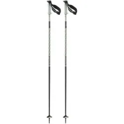 Salomon Bâtons de ski en aluminium Polar Pro S3 White Moss  aus Aluminium Größe 115 cm Weiß