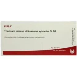 Wala Trigonum Ves.et Musc.sph.gl D5 Ampullen