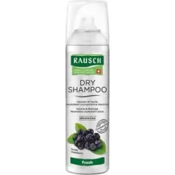 RAUSCH DRY SHAMPOO Fresh