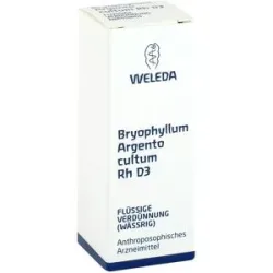 Weleda Bryophyllum Argento Cultum Rh D3 Dilution
