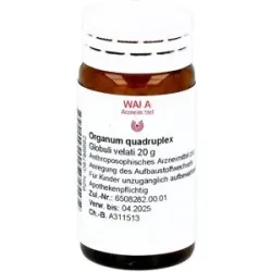 Wala Organum Quadruplex Globuli