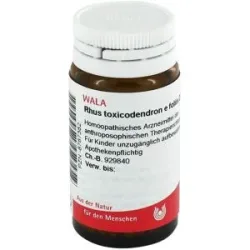 Rhus Tox. E Fol. D12 Globuli