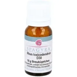 Rhus Toxicodendron D30 Globuli