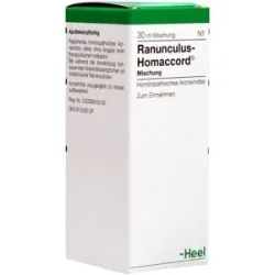 Ranunculus Homaccord Tropfen