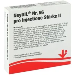Neydil Nummer 6 6 pro injectione St. Ii Ampullen