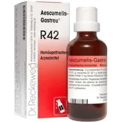 Aescumelis Gastreu R 42 Tropfen zum Einnehmen