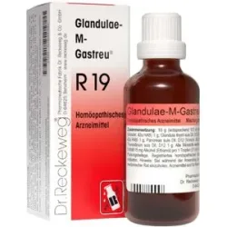 Glandulae M Gastreu R 19 Tropfen zum Einnehmen