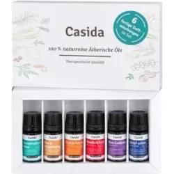 Casida ätherische öle Duftmischungen Set Naturrein Top 6