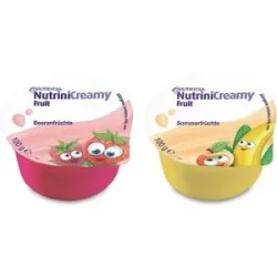 Nutrini Creamy Fruit Mischkarton