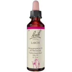 Bachblüten Larch Tropfen