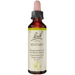 Bachblüten Mustard Tropfen