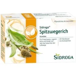 SIDROGA Spitzwegerich