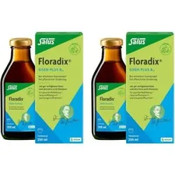 Floradix Eisen Plus B12 vegan Tonikum