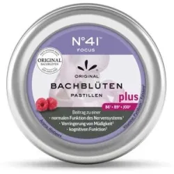 Konzentration Bachblütenpastillen nach Doktor Bach