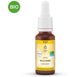 Bachblüte Nummer 3 7 Wild Rose Bio