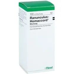 Ranunculus-Homaccord Ranunculus Homaccord Tropfen