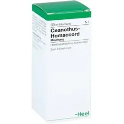 Ceanothus-homaccord Liquidum