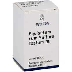Weleda Equisetum Cum Sulf. Tost. D6 Trituration